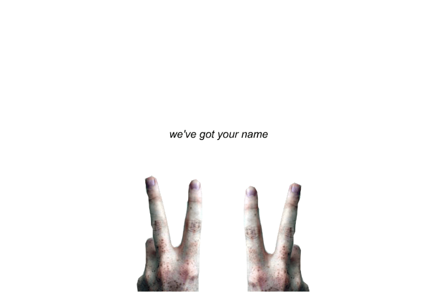 Pw C - We've got your name and you are a donkey