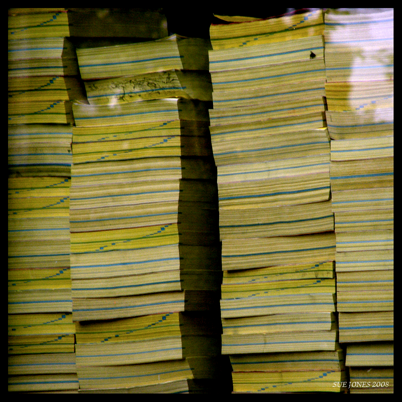 A big pile of Yellow Pages, festering in a window