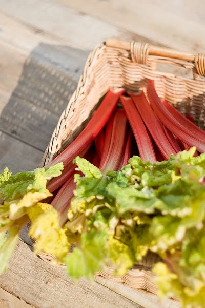 The Rhubarb - Nicely polished