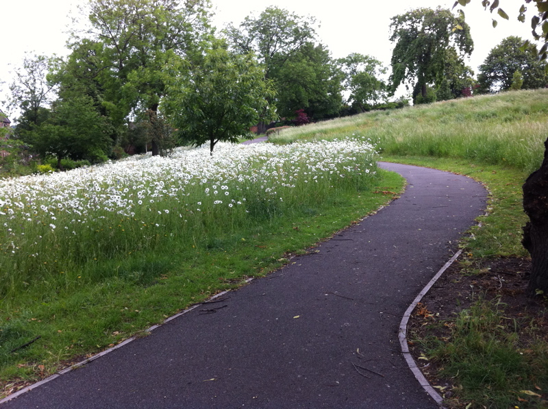 St Mary's Rest Garden in Nottingham City Centre