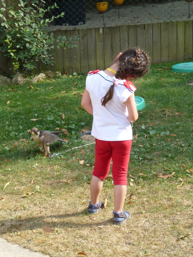 and a young guest looks eye to eye with a bird in training at Puy du Fou