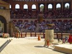 At the start of the roman show at Puy du Fou, they parade in with ducks, emu's, camels and pigs. As you do at Puy du Fou