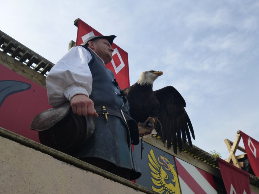 The bird handlers are incredible as are the trained birds at Puy du Fou