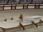 With one lion tamer looking like bait at Puy du Fou