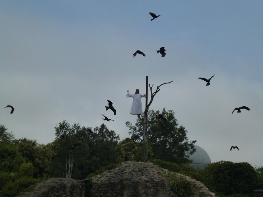 You don't see this everyday, but a lady levitates and is surrounded by over 170 giant birds at Puy du Fou