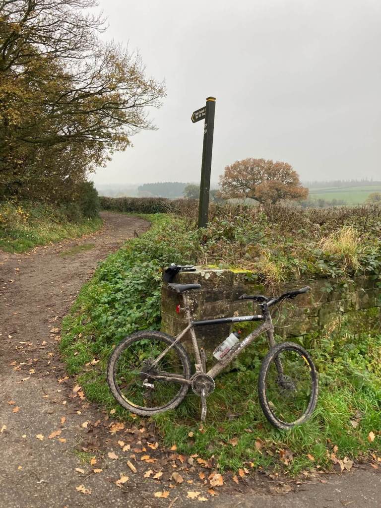 Think Analogue Go for a ride on your bike by Johnny Lyle